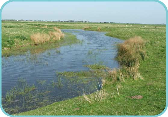 Cooling Reserve