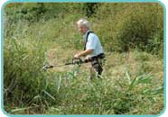 Thistle cutting